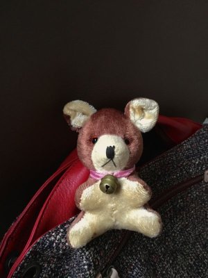 画像1: ベビーフェイスの小さな熊さん　旅のお供に       ジャパンベア　★ １０ｃｍ     お里帰りのベア