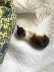 画像1: 眠たそうな猫さん　  ミニチュア フィギア     キャット    英国　ロイヤルドルトン　⒈ (1)