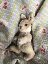 ５ジョイントの仔ウサギ   NIKI   ラビット シュタイフ  うさぎ    １５cm