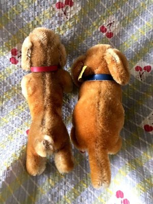 画像3: BEST FRIEND！ シュタイフのダックスフント　２匹いっしょに