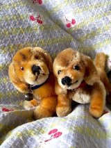 BEST FRIEND！ シュタイフのダックスフント　２匹いっしょに