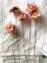 画像3: ベルベットフラワー   モーブピンク　古い染め花　5本セット  布造花 (3)