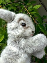 大きな瞳のうさぎさん       ハンドパペット　シュタイフ　ヴィンテージ