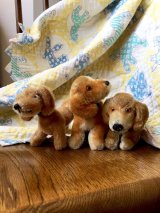 ダックスフント   ドイツ生まれの３匹  ワンコ    DOGGY DOGGY   シュタイフ
