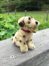 シュタイフ の子犬    ★ ダルメシアン　  パピー