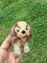 シュタイフ  の子犬 　 ★　コッカースパニエル　 パピー