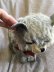 画像8: チルターンキャット　灰色猫　グレーモヘア　英国　Chiltern