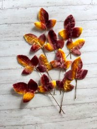 HAPPY PRICE！★ 秋色葉っぱ   　 リーフ     　ヴィンテージの造花　　手芸素材　コサージュパーツ