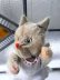 画像6: 灰色ネコ    キティン　５ジョイント　２０ｃｍ　KERSA　ジャーマンアンティーク　　　　　