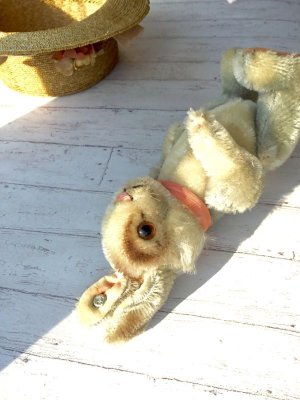 画像4: ★ファイブジョイントの仔ウサギ  　 NIKI   RABBIT  ラビット シュタイフ  うさぎ    １５cm