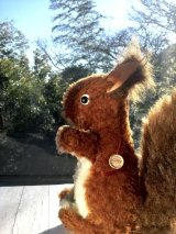 ふさふさしっぽのリス　キュートなグーグリーアイ    　★ハーマン  　ドイツの栗鼠　