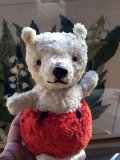 ローリーポリー　可愛らしい小熊さん　チルターン       from ENGLAND