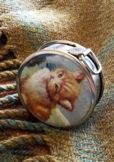 子猫のテープメジャー　TABBY　 KITTEN