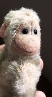 他の写真1: シュタイフのジョコ　Jocko　チンパンジ―　珍しいアイボリーお猿さん　１１ｃｍ　