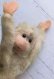 画像5: シュタイフのジョコ　Jocko　チンパンジ―　珍しいアイボリーお猿さん　１１ｃｍ　 (5)