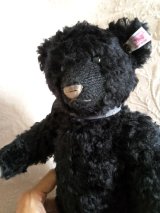 黒熊　テディベア　ファイブジョイント　シュタイフ　BLACK PETSY