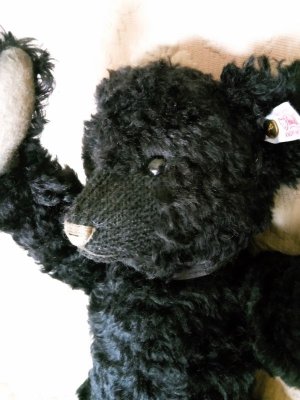 画像7: 黒熊　テディベア　ファイブジョイント　シュタイフ　BLACK PETSY