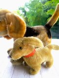 小さい仔犬　シュタイフ ドッグ    ハウンド    BAZI　　