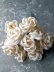 画像2: バニラ色の布花　ホワイトローズ　アンティークコサージュ   ★薔薇のブーケ　ドール制作    　　 (2)