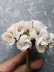 画像1: バニラ色の布花　　アンティークコサージュ   ★ブーケ　ドール制作    　素材　造花 (1)