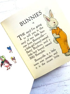 画像3: ミニ絵本   BUNNYIES  ウサギ