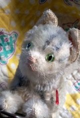 猫のプルトイ　ハーマン