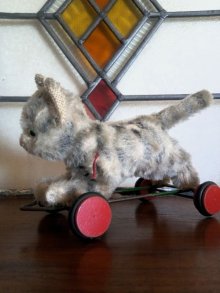 他の写真3: 猫のプルトイ　ハーマン