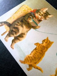 ★ ADVENT DAY 17 ★　 編み物をする猫　アンティーク　ポストカード　１９０７年