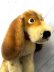 画像1: バセット・ハウンド　シュタイフ ドッグ      犬　 (1)