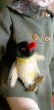 画像5: 赤ちゃんペンギン　 PEGGY　シュタイフ　ヴィンテージ (5)