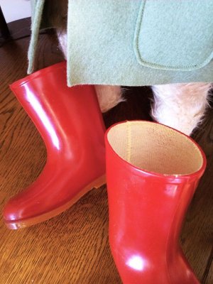 画像6: HELLO！ パディントン　ベア　ガブリエル・デザインズ　英国　ロンドンマーケットより