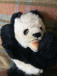  おやすみパンダ　Floppy panda   スリーピングポーズ　シュタイフ