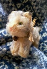 仔猫のTABBY　シュタイフ　キャット　７ｃｍ　