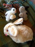 うさぎ　３点セット　指遊び　ポンポンうさぎ　ドイツ    Max Carl Toys  