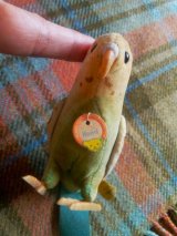 グリーンのセキセイインコ　シュタイフ　　９，５ｃｍ　ヴィンテージ　５０年代　