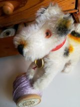 フォックステリア　ハーマン　FOXY　１０ｃｍ