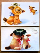 古い時代の犬のぬいぐるみカード　英国　EINCO TUBBY　２枚組　A