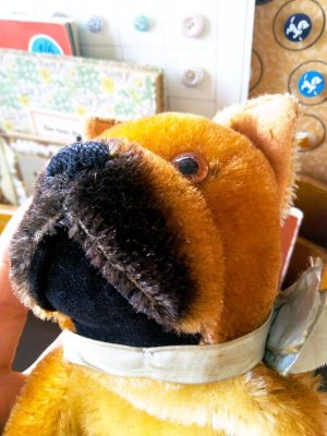 画像4: HAPPY PRICE！　BOXER DOG　ハンドパペット　シュタイフ　指人形　
