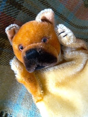 画像1: HAPPY PRICE！　BOXER DOG　ハンドパペット　シュタイフ　指人形　