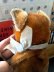画像5: HAPPY PRICE！　BOXER DOG　ハンドパペット　シュタイフ　指人形　 (5)