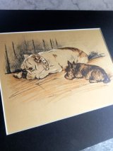 ルーシー ド―ソンのデッサン画　マット仕立て　1.