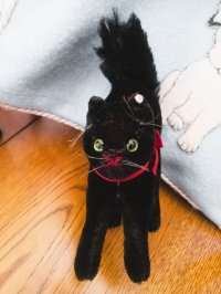 黒猫　トムキャット　１４ｃｍ　シュタイフ　