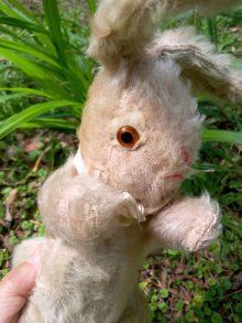 他の写真1: チャドバレー のうさぎ　RABBIT　仔ウサギ　２２ｃｍ　from  LONDON