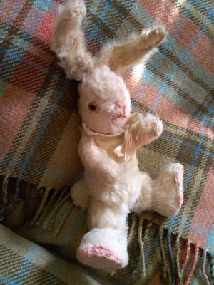 画像5: チャドバレー のうさぎ　RABBIT　仔ウサギ　２２ｃｍ　from  LONDON