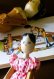 画像6: 小さなサイズのペグドール　人形の家　アンティーク 　１７ｃｍ　ウッデンドール 