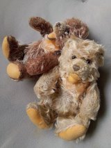 シュタイフのゾッティ　小熊 　ZOTTY  BEAR 　オープンマウス  　ベージュ