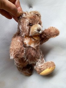 他の写真2: シュタイフのゾッティ　小熊 　ZOTTY  BEAR 　オープンマウスのテディベア