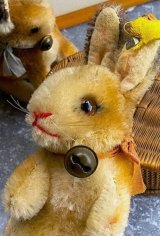 シュタイフの MANNI　うさぎ 　１２ｃｍ　スタンディングラビット