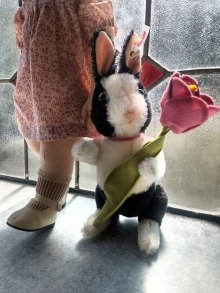 他の写真2: お花をどうぞ　シュタイフ 　パンダうさぎ　２０ｃｍ