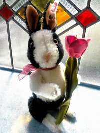 お花をどうぞ　シュタイフ 　パンダうさぎ　２０ｃｍ